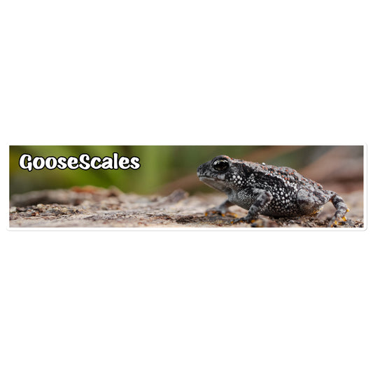 GooseScales Juvenile Oak Toad Bubble-free sticker