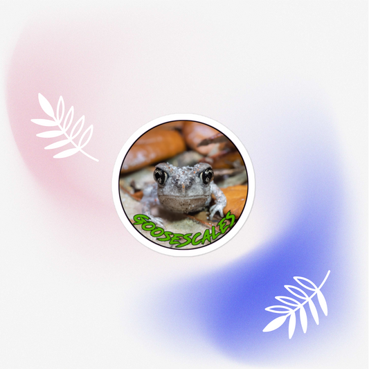 GooseScales Eastern Spadefoot Toad Bubble-free sticker